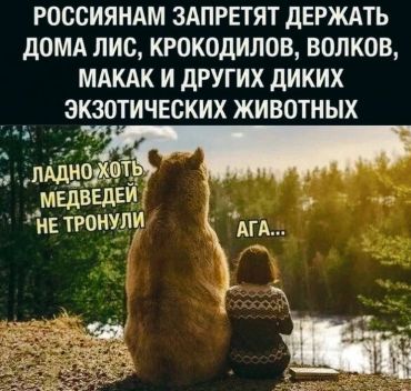 Россиянам запретят держать дома лис, крокодилов, волков, макак и других диких экзотических животных. Ладно, хоть медведей не тронули...