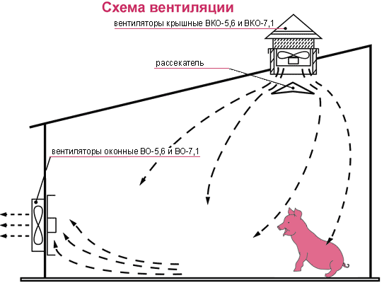 Вентиляция типовой секции свинарника