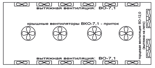 Схема вентиляции птицефабрики с увеличенным воздухообменом