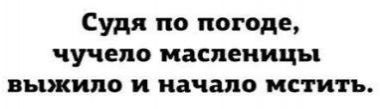 Судя по погоде, чучело Масленицы выжило и начало мстить.