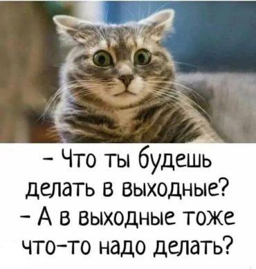 -Что ты будешь делать в выходные? –А в выходные тоже надо что-то делать?!