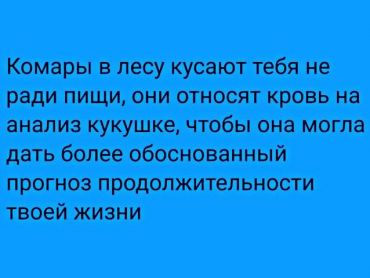 Комары в лесу кусают тебя не ради пищи. Они относят кровь на анализ кукушке, чтобы она могла дать более обоснованный прогноз продолжительности твоей жизни