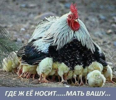 Где ж её носит?... Мать вашу...