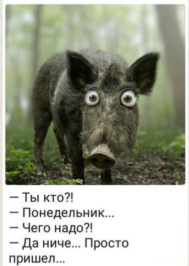 Ты кто? -Понедельник -Чего надо? -Да ничего... Просто так пришел...