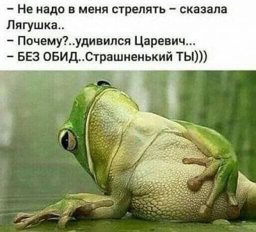 -Не надо в меня стрелять, - сказала лягушка. -Почему?, - удивился Царевич. -Без обид. Страшненький ты...