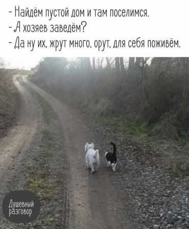 -Найдём пустой дом и поселимся. -А хозяев заведём? -Ну их! Жрут много, орут... Для себя поживём.