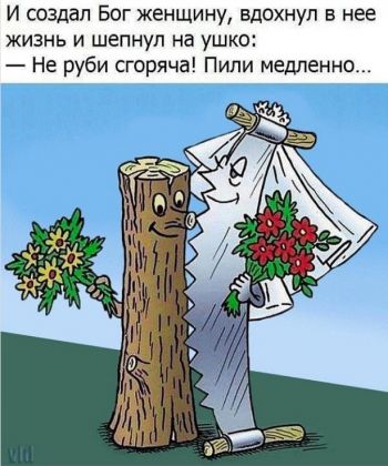 И создал Бог женщину, вдохнул в неё жизнь и шепнул на ушко: «Не руби сгоряча! Пили медленно...»