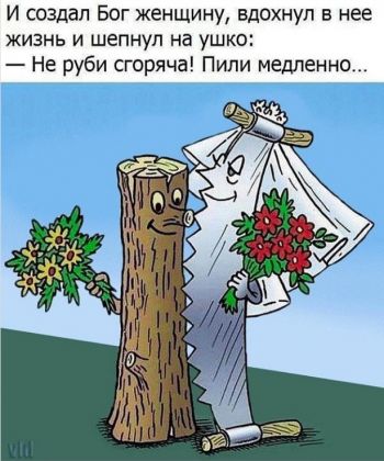 И создал Бог женщину, вдохнул в неё жизнь и шепнул на ушко: «Не руби сгоряча! Пили медленно...»