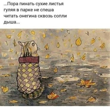 Пора пинать сухие листья, гуляя в парке не спеша, читать Онегина, сквозь сопли дыша...